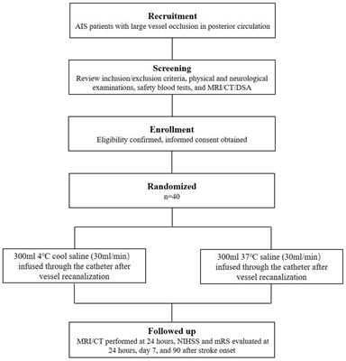 Vertebrobasilar artery cooling infusion in acute ischemic stroke for posterior circulation following thrombectomy: Rationale, design and protocol for a prospective randomized controlled trial